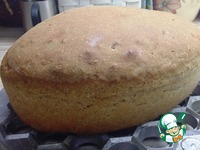 ��������-������ ���� "���������" �����������