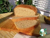 ��������-������ ���� "���������" �����������