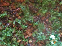 ����������� ������� ��� �����������