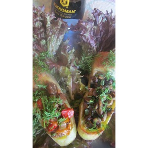 ������������ ��������