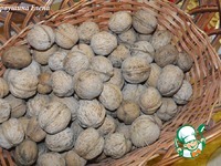 ����� �������� � ����� �����������