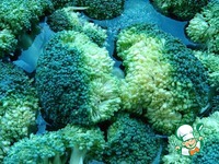 ������ �� �������� �����������