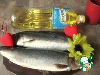 ������������ ������ "������" �����������