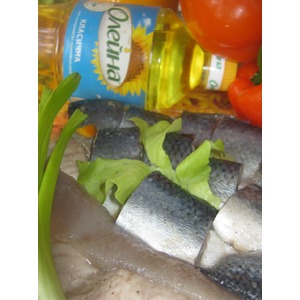 ������������ ������ "������"