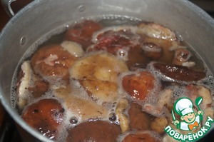 Суп из маслят: рецепты из свежих грибов, как приготовить, сколько варить, крем-суп, молочный, сырный, постный, в мультиварке