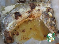 ���� ������������� �����������