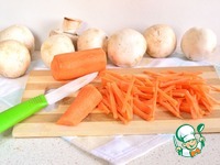 ���� � ������������ � �������� �����������