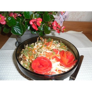 ����� "�������� � ��������"