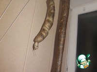 ������ �����������