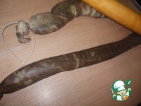 ������ �����������