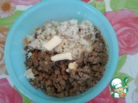 ����-�������� � ������� ������� �����������