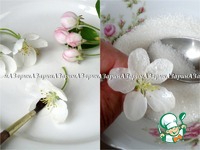 ���� "������ ���" �����������