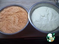 ���� "�������" �����������