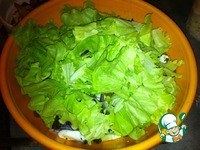 ����� ������ "��������" �����������