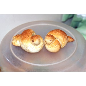 ������� ���������� �� �������� �����