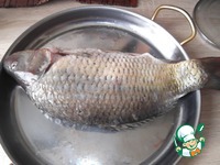 ����, ������������� ������� � ������ �����������