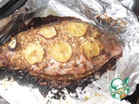 ����, ������������� ������� � ������ �����������