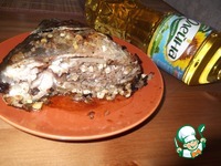 ����, ������������� ������� � ������ �����������