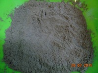 ���� ������� �����������