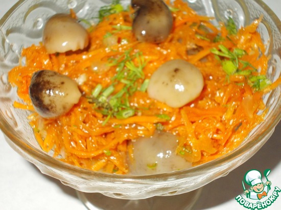 ����� �� ������ � �������� � ��������