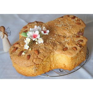 ����������� ���������� ���� "�������"