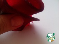 ���������� "��������-�����" �����������