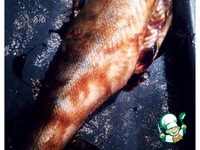 ������� �����������