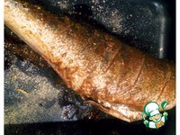 ������� �����������