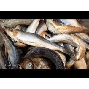 ������� ����