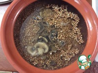 �������� "�����������" �����������