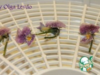 ������ � ������ �����������