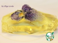 ������ � ������ �����������