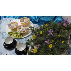 ���������� � ������ � ������������� �������