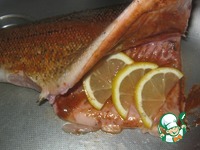 ������ �������� "��������" �����������