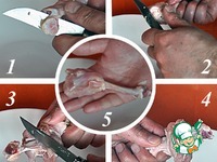 ����� ��������� � ������ ��������� �����������