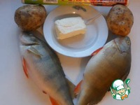 ���� "�������� �������" �����������