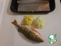 ���� "�������� �������" �����������