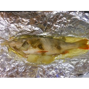 ���� "�������� �������"