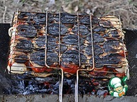 ������ ������� � "�������" �� ������ �����������