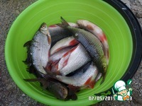 ����� �� ����� �����������