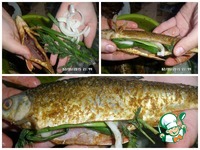 ����� �� ����� �����������