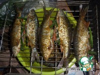 ����� �� ����� �����������