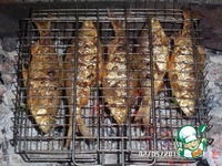 ����� �� ����� �����������