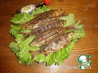 ����� �� ����� �����������