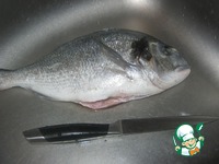 ������ �� ����� �� ���-������ �����������