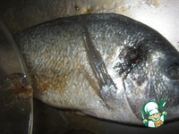 ������ �� ����� �� ���-������ �����������