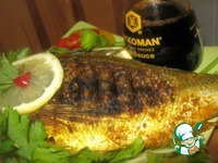 ������ �� ����� �� ���-������ �����������