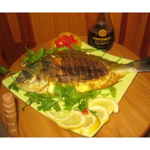 ������ �� ����� �� ���-������