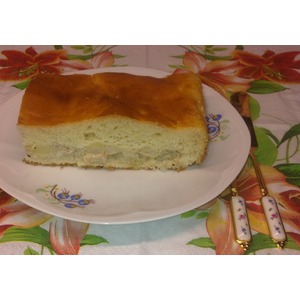 ����� "���������"