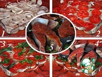 ������ ������� � "�������" �� ������ �����������